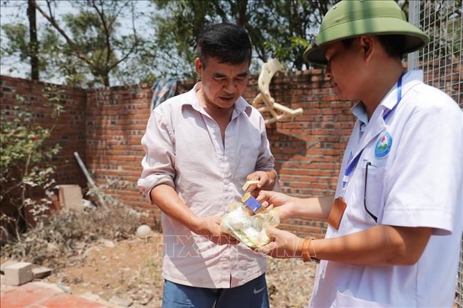 Chủ động phòng ngừa dịch bệnh phát sinh sau lũ