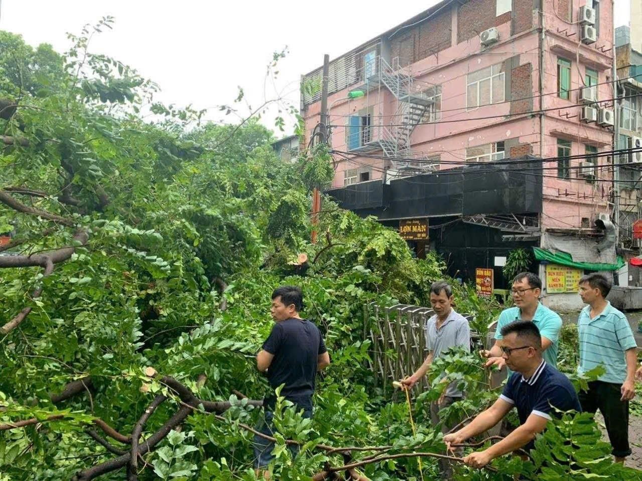 Tập trung triển khai các biện pháp khắc phục, giải tỏa cây xanh gãy, đổ sau cơn bão số 3