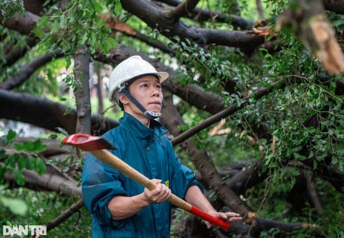 Hà Nội: 4 người tử vong, 17 người bị thương và 24.800 cây đổ do bão Yagi