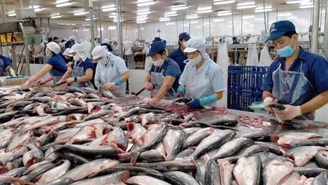 Mỹ áp thuế 46%, nông sản Việt Nam chịu ảnh hưởng trực tiếp