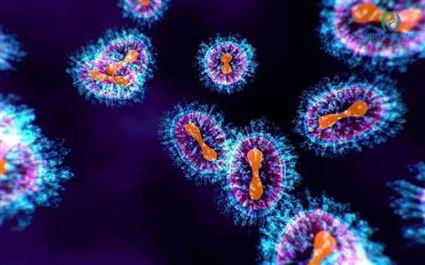 Nhóm người nào dễ có nguy cơ nhiễm virus gây viêm phổi trên người ?